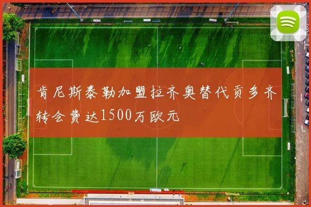 肯尼斯泰勒加盟拉齐奥替代贡多齐转会费达1500万欧元